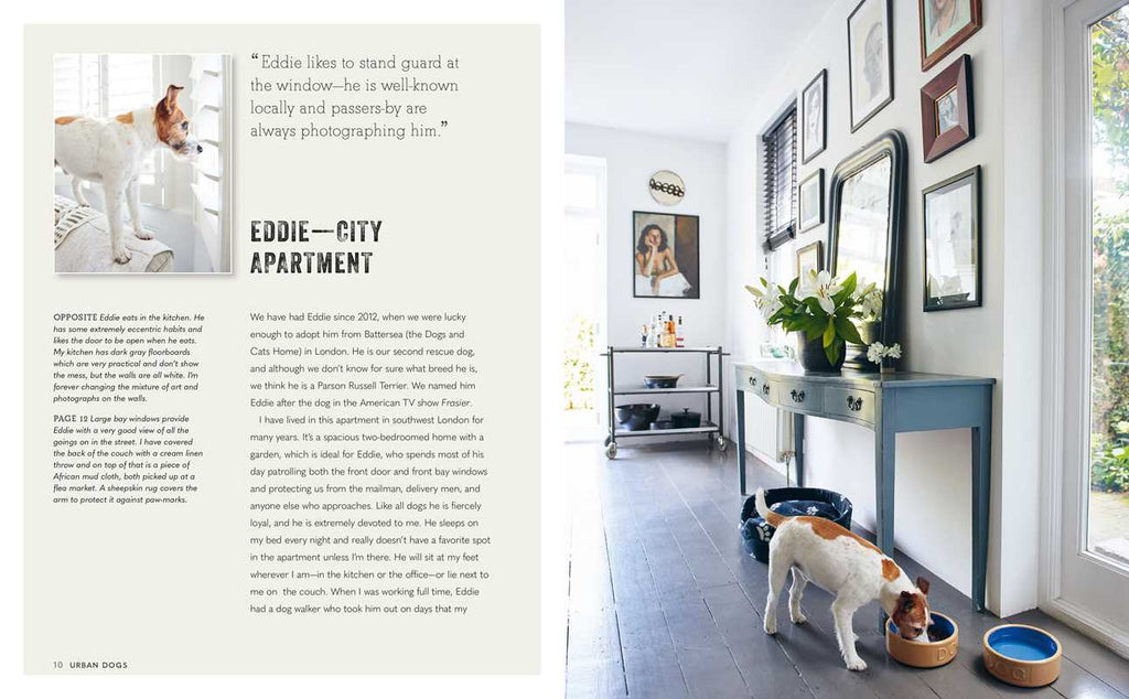 Cool Dogs, Cool Homes by Geraldine James