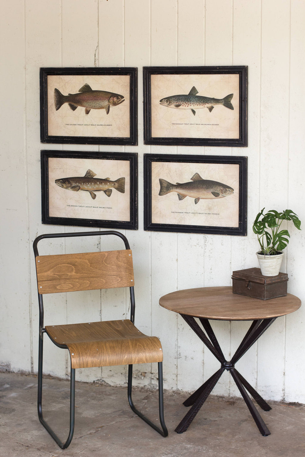 SET OF FOUR TROUT PRINTS UNDER GLASS