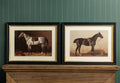 Saddled Riding Horses Framed Prints (Pk/2 Ast)| Vintage Wall