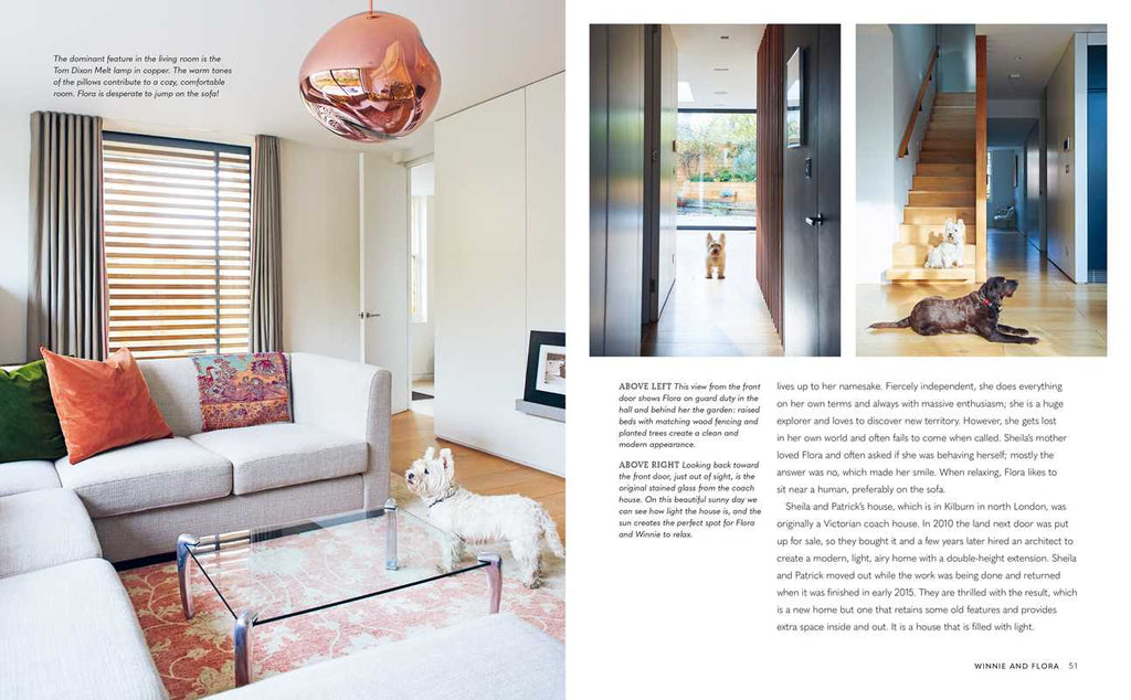 Cool Dogs, Cool Homes by Geraldine James