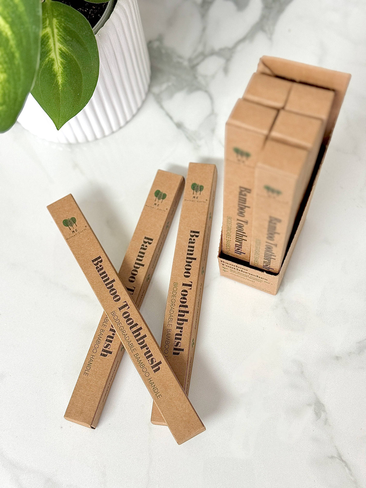 Bamboo Charcoal Toothbrush | Compostable + Zero Waste