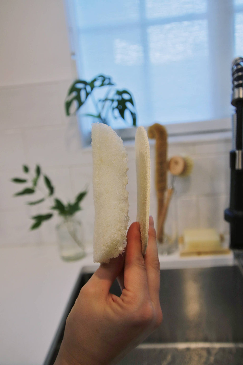 Loofah Dish Sponge: Single Layer 3-Pack | Compostable