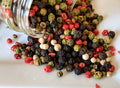Peppercorns, Quatre Pepper Blend - Certified Organic