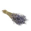 Dried Flowers - Lavender Natural Blue