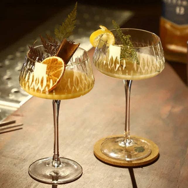Elegant 2-Piece Cocktail Coupe Set