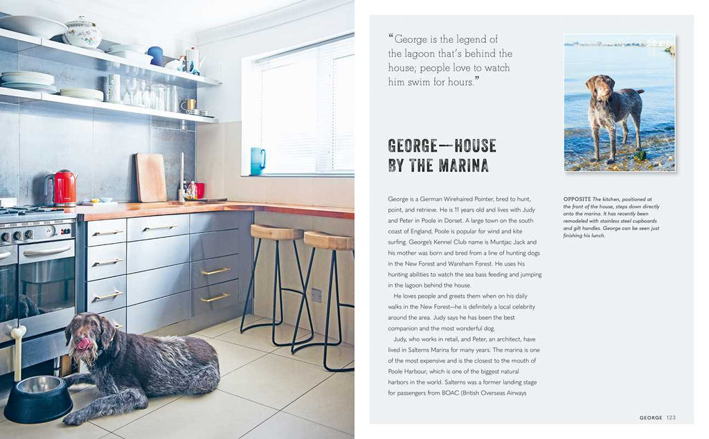 Cool Dogs, Cool Homes by Geraldine James